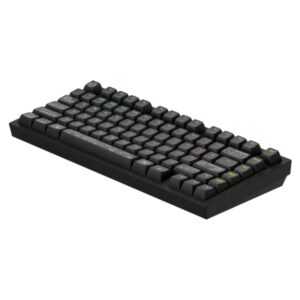 DARK PROJECT ALU TERRA NOVA R2 WIRELESS GAMING KEYBOARD (ANSI)