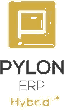 Pylon ERP Hybrid